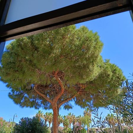 da Cappellini Bed and Breakfast Isola delle Femmine Buitenkant foto