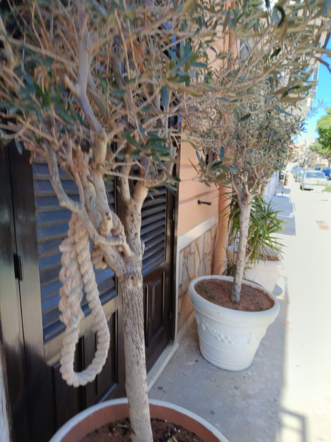 da Cappellini Bed and Breakfast Isola delle Femmine Buitenkant foto